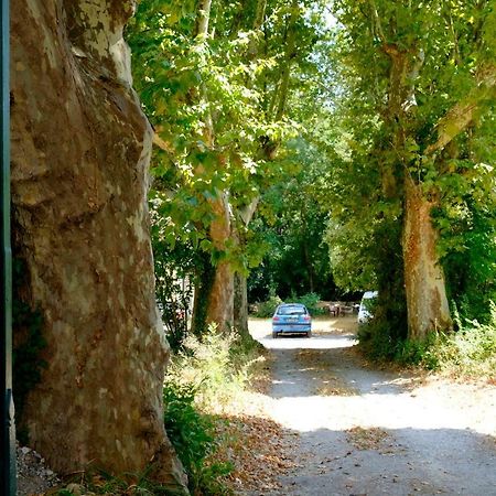 L`Orée De La Lironde Montpellier Esterno foto